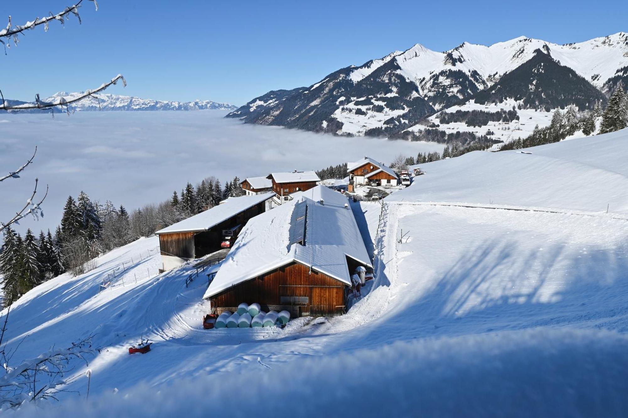 Berghof Burtscher Ludesch 외부 사진